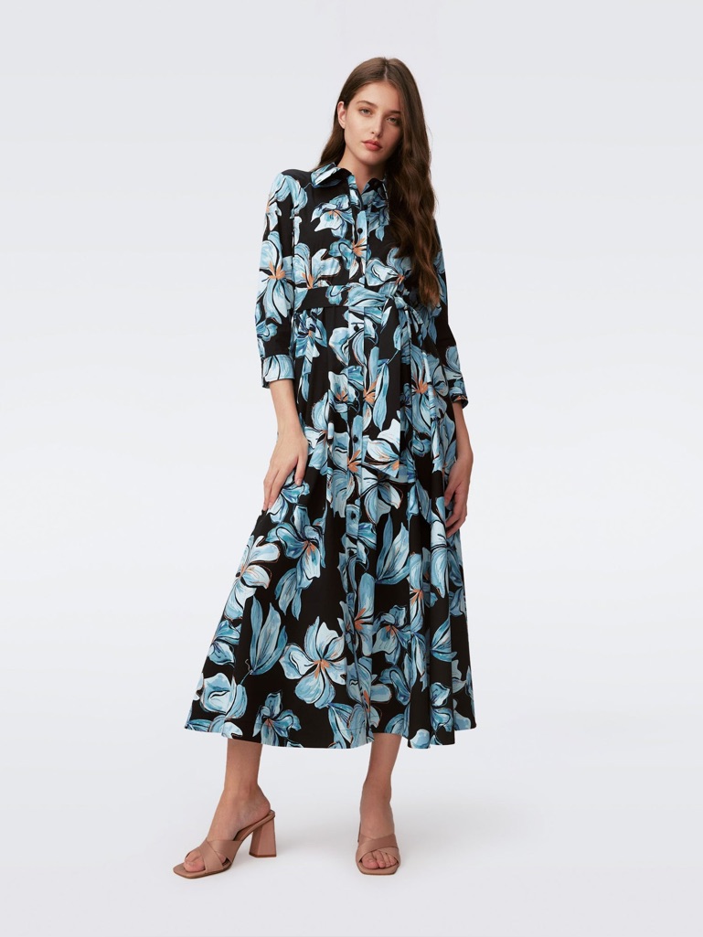 Diane Von Furstenberg Blaine Cotton Poplin Dress In Opera Floral Black